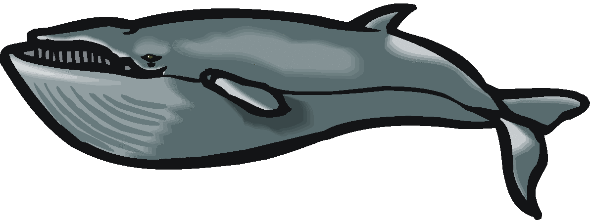 Whale Clipart