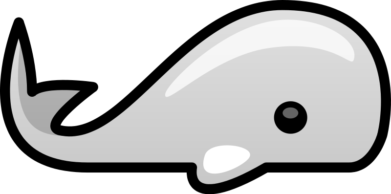 Whale8