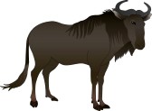 Wildebeest Clipart   17494380