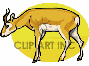 Wildebeest Clipart 589451 Animal019 Gif
