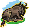 Wildebeest Lying Down   Royalty Free Clipart Picture