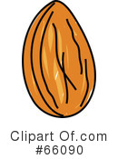Almond Clipart  102968   Illustration By Cory Thoman