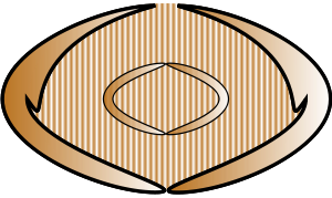 Buckle Clipart Image