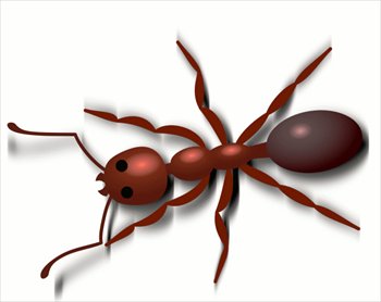 Free Ant Copper Colored Clipart   Free Clipart Graphics Images And    
