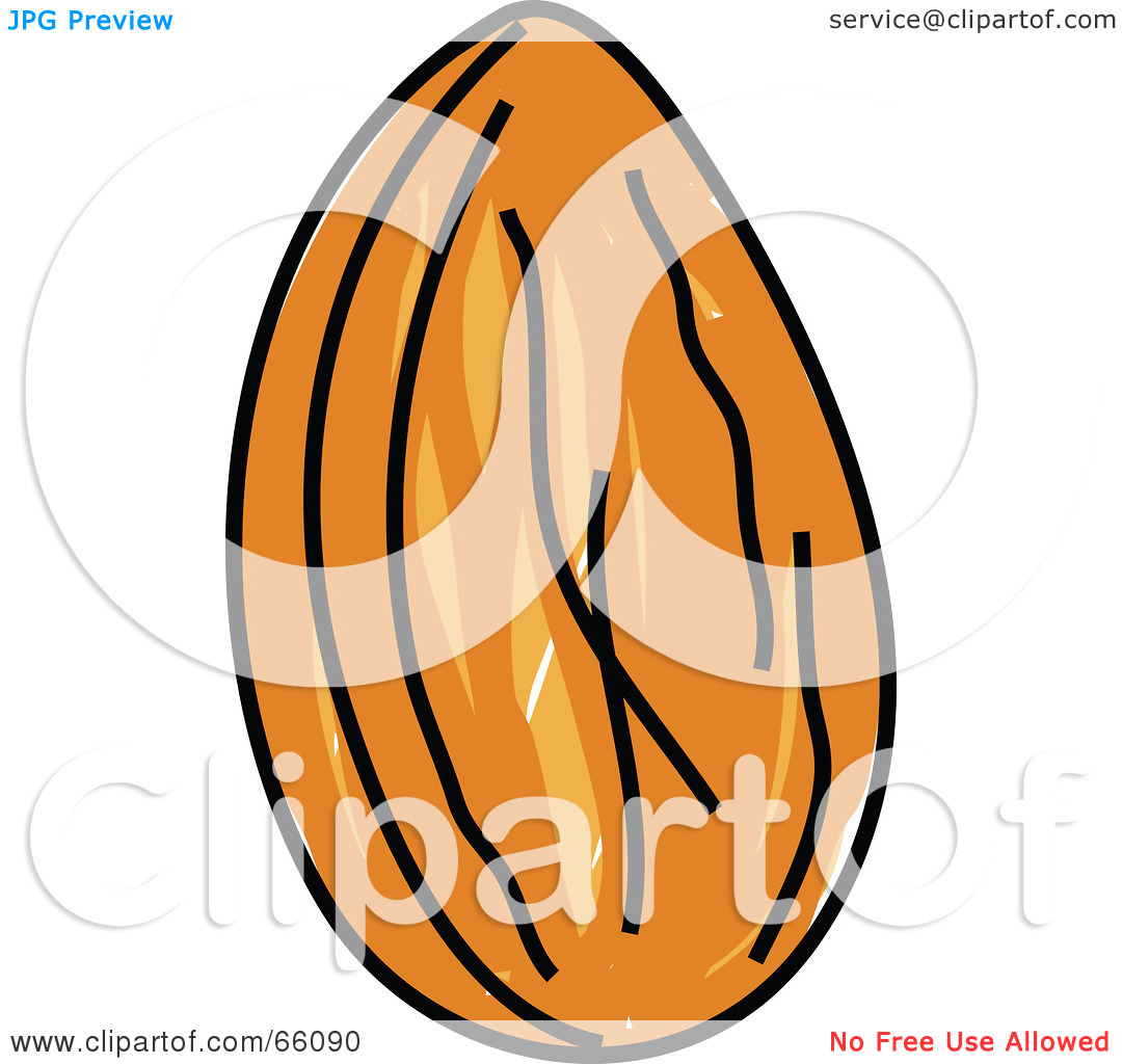 Free  Rf  Clipart Illustration Of A Raw Single Almond By Prawny  66090