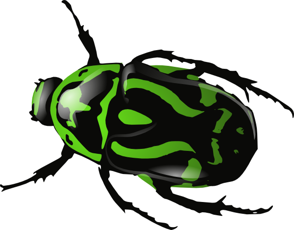 Green Beetle Clip Art At Clker Com   Vector Clip Art Online Royalty