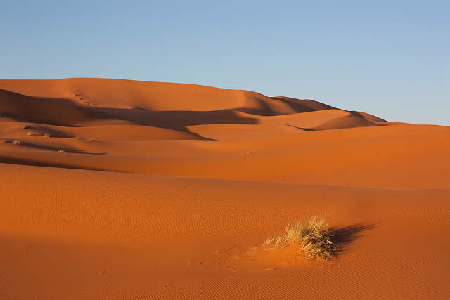 Sahara Desert Clipart Sahara Desert Morocco