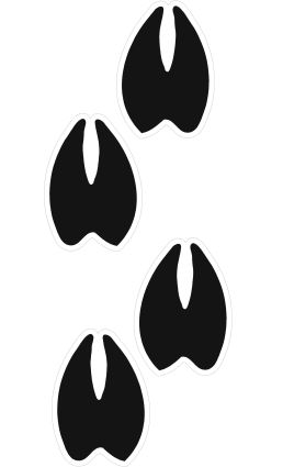 11 Deer Hoof Prints Vector Free Cliparts That You Can Download To You