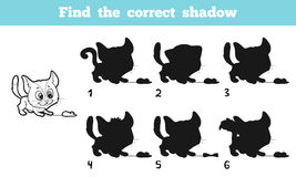 Cat Shadow Stock Vectors Illustrations   Clipart