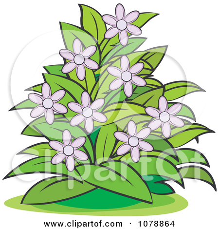 Clipart Bush With Purple Flowers   Royalty Free Vector Illustration By