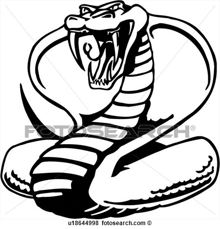 Cobra Fang King Poison Reptile Snake Venom Venomous Cartoons