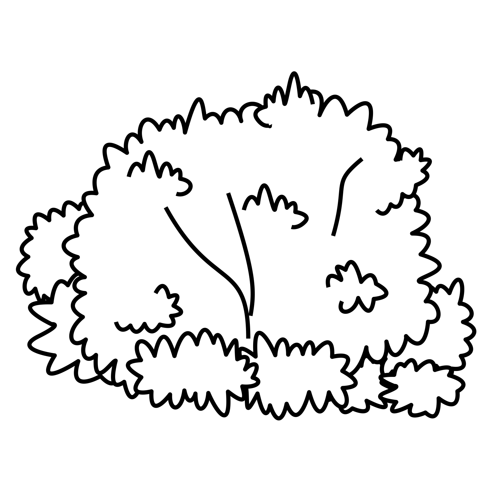 Coloring Pages Plants   Free Downloads
