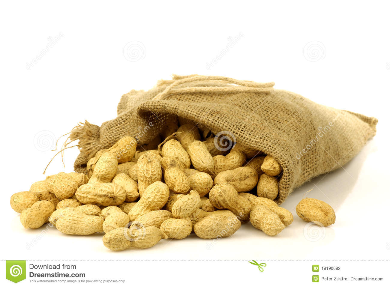 Burlap Bag With Roasted Peanuts Stock Photography   Image  18190682