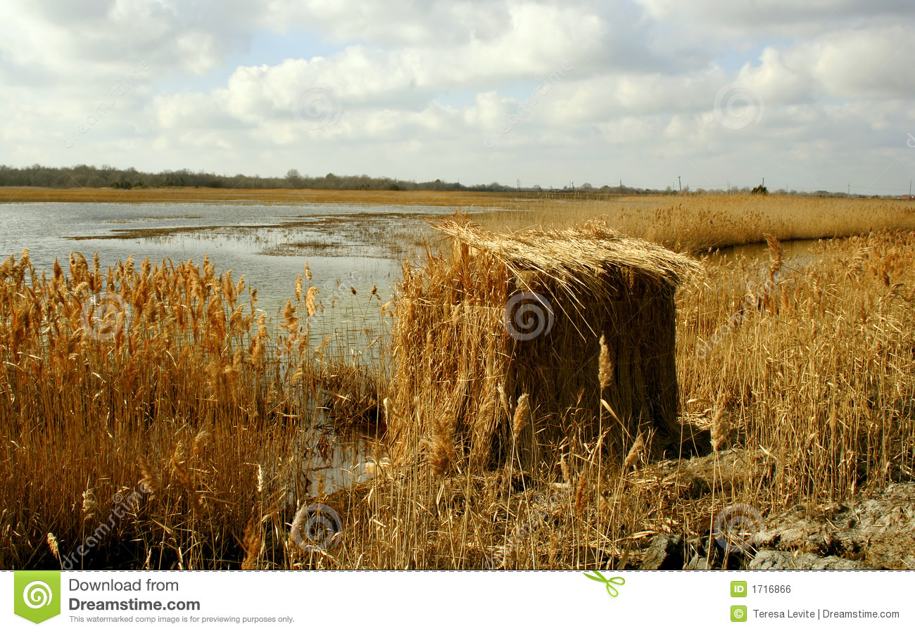 Duck Blind Royalty Free Stock Image   Image  1716866