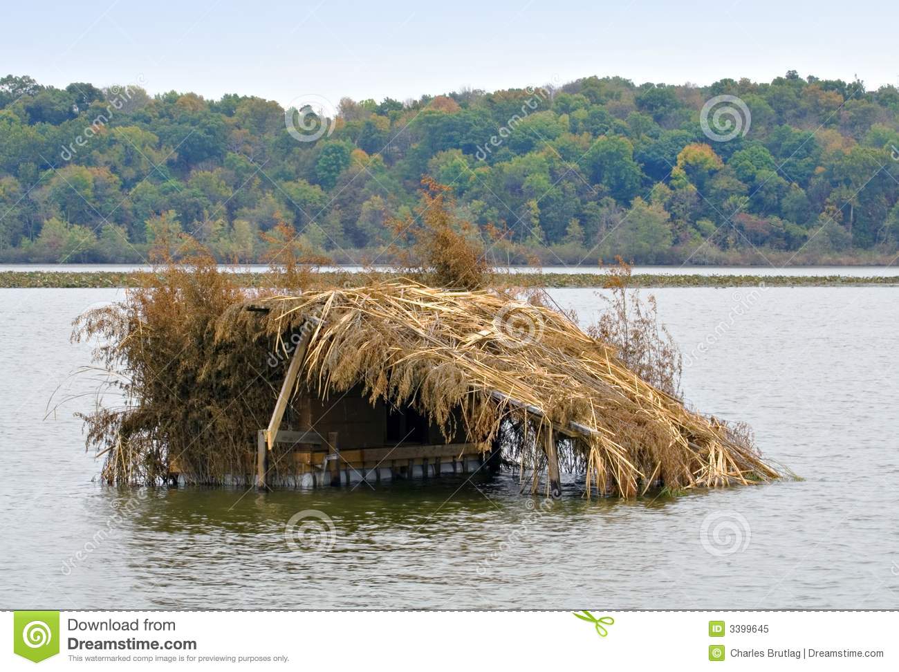 Duck Blind Royalty Free Stock Photo   Image  3399645