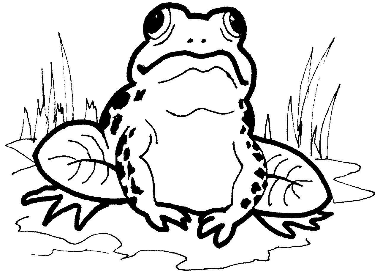 Froggy Clip Art  B W  Page 7