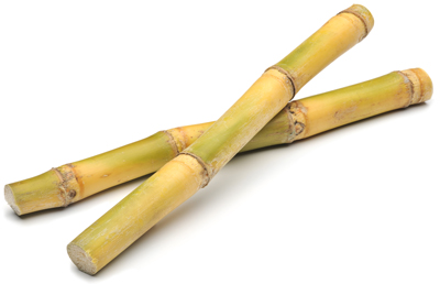 Homefrontier   Creative Writing  Sugarcanes