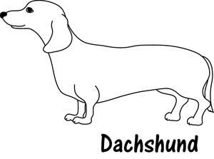 Line Drawing Of A Dachshund Dog Or Weiner Dog With The Word Dachshund