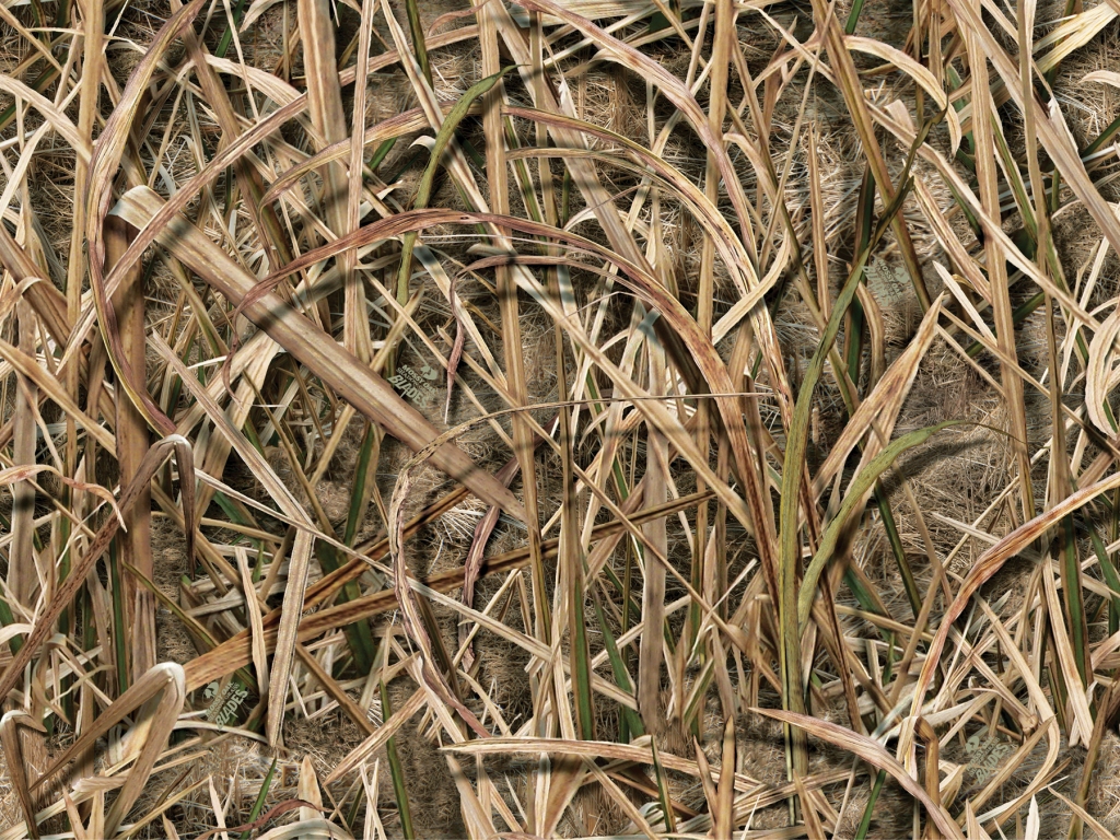 New Pattern From Mossy Oak  Shadow Grass Blades   Victory Outdoors