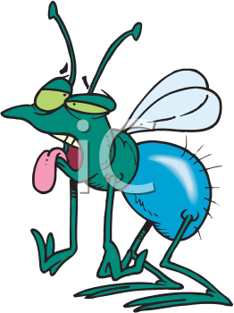 Royalty Free Fly Clip Art Insect Clipart