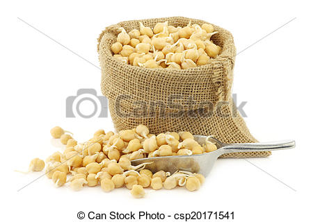 Sprouted Chick Peas In A Burlap Bag With An Aluminum Spoon On A White
