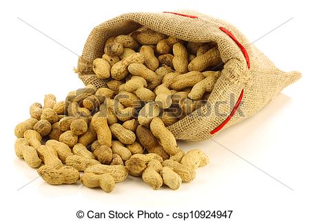 Stock Photo Of Roasted Peanuts In A Burlap Bag On A White Background    