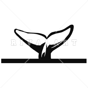 Whale Tail Free Clipart   Free Clip Art Images
