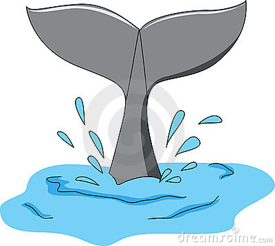 Whale Tail Stock Illustrations Vectors   Clipart    489 Stock