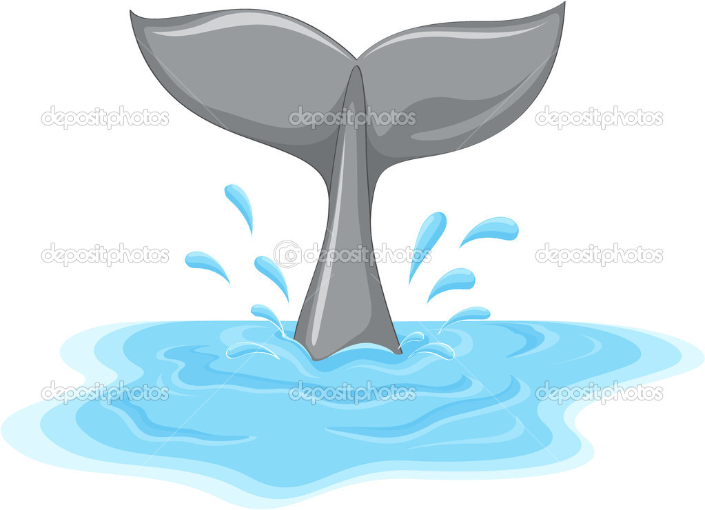 Whale Tail   Stock Vector   Interactimages  10457070