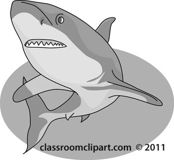 Animals Gray And White Clipart  Gray Shark 06 12   Classroom Clipart