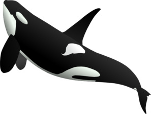 Ascending Whale Clip Art At Clker Com   Vector Clip Art Online