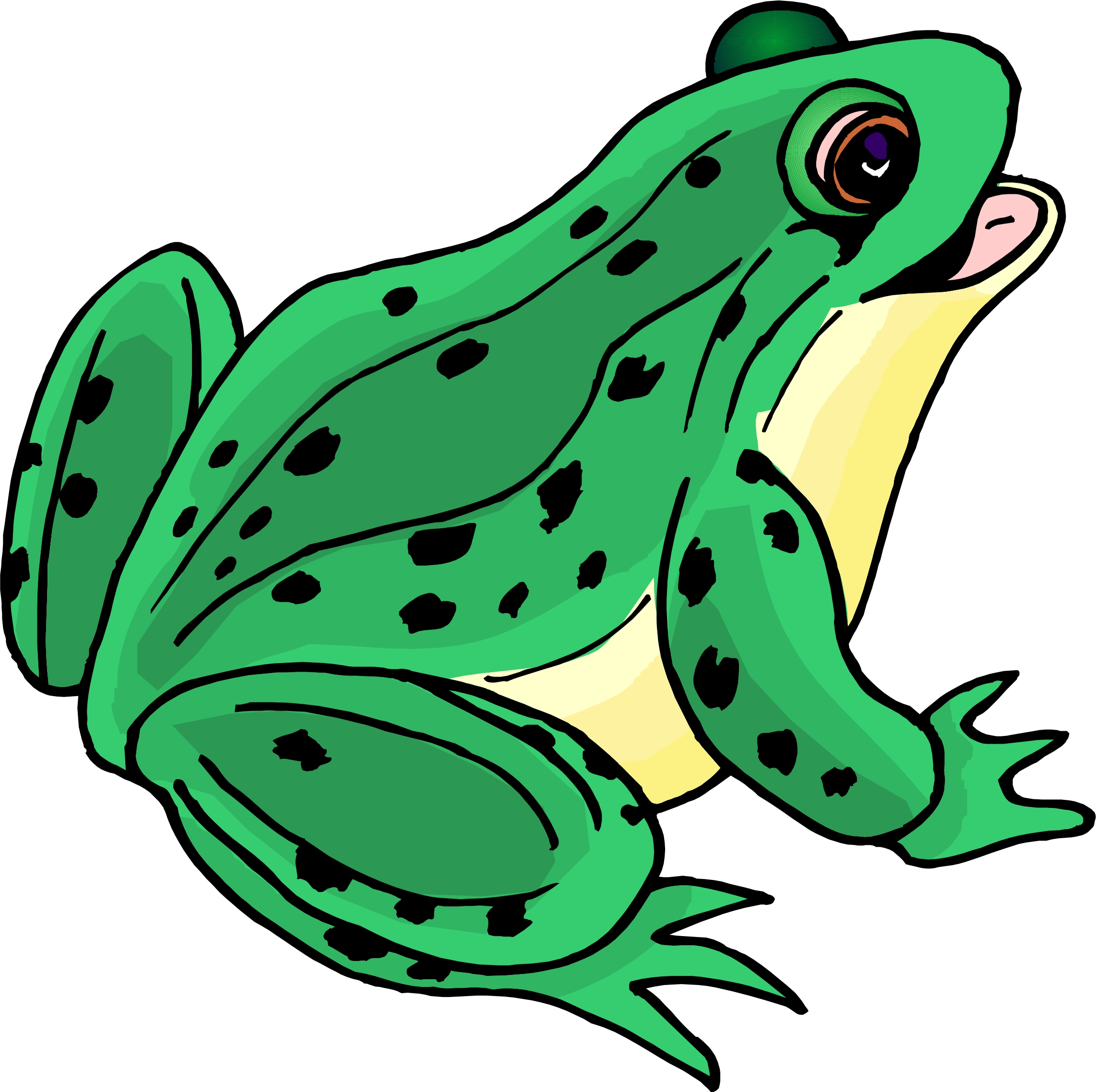 Back To Cartoon Clipart From Cartoon Frogs