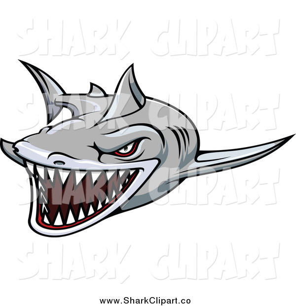 Clip Art Of A Gray Aggressive Swimming Shark By Seamartini Graphics    