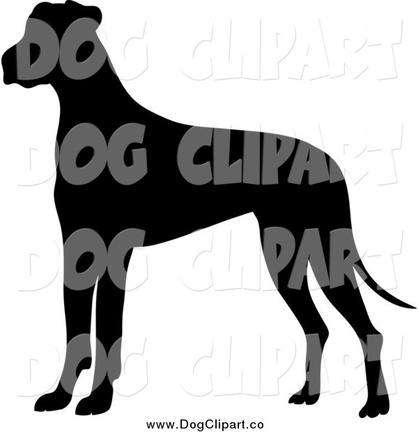 Clip Art Of A Silhouetted Great Dane Dog By Pams Clipart    2395