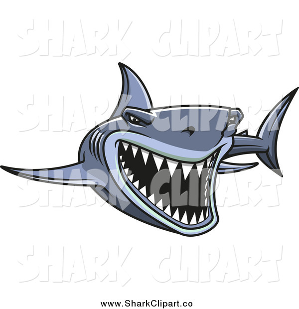Clip Art Of An Attacking Gray Shark By Seamartini Graphics    438