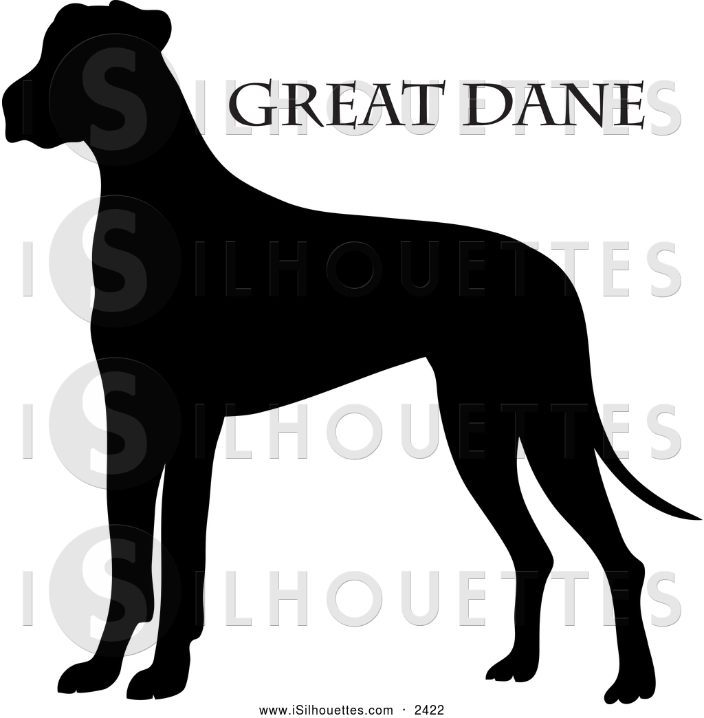 Clipart Of A Black Silhouette Of A Great Dane And Text By Pams Clipart