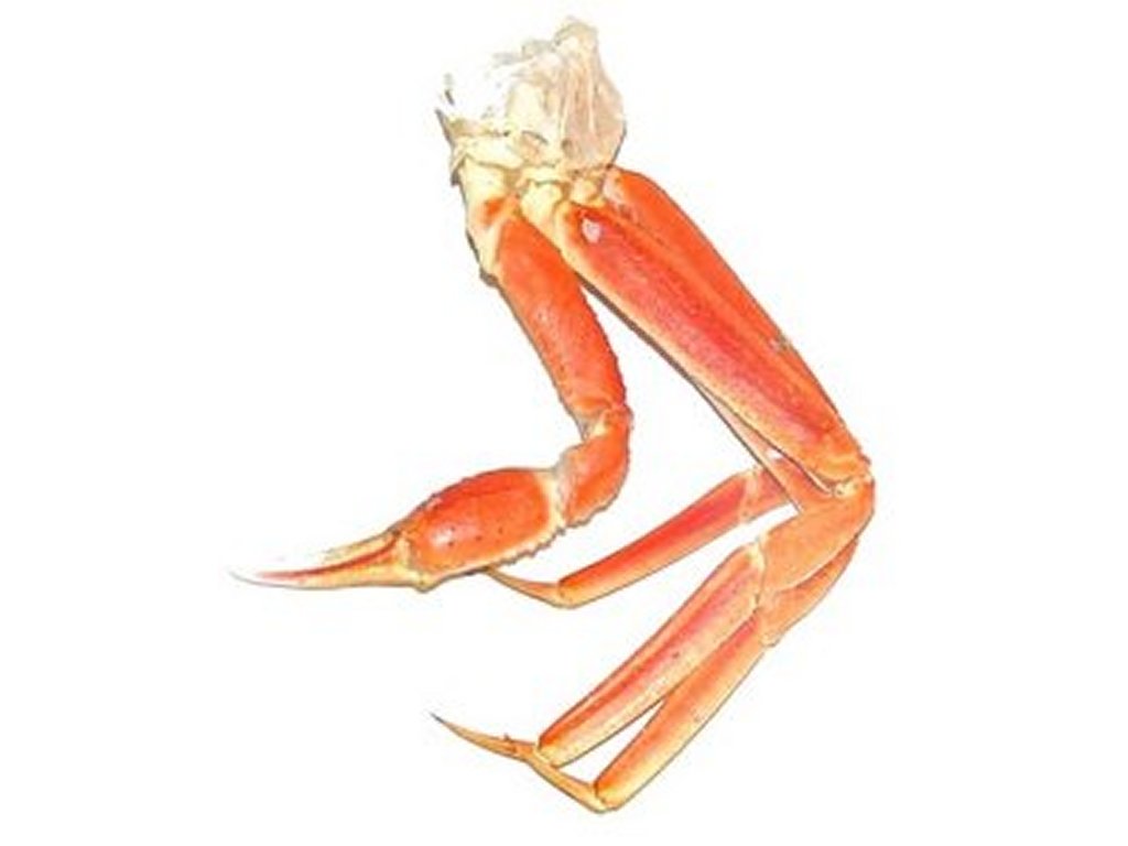 Crab Legs Clip Art Pictures   Free Quality Clipart