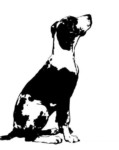 Dog Clipart Great Dane Free Stock Photo   Public Domain Pictures