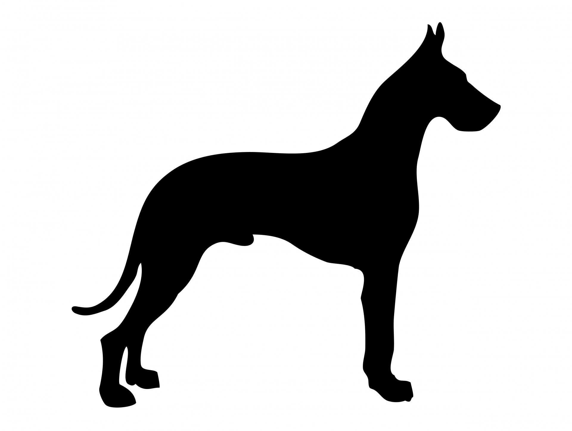 Dog Silhouette Great Dane Free Stock Photo Hd   Public Domain Pictures