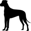 Great Dane Clipart Image   Great Dane Dog Silhouette With Text Great