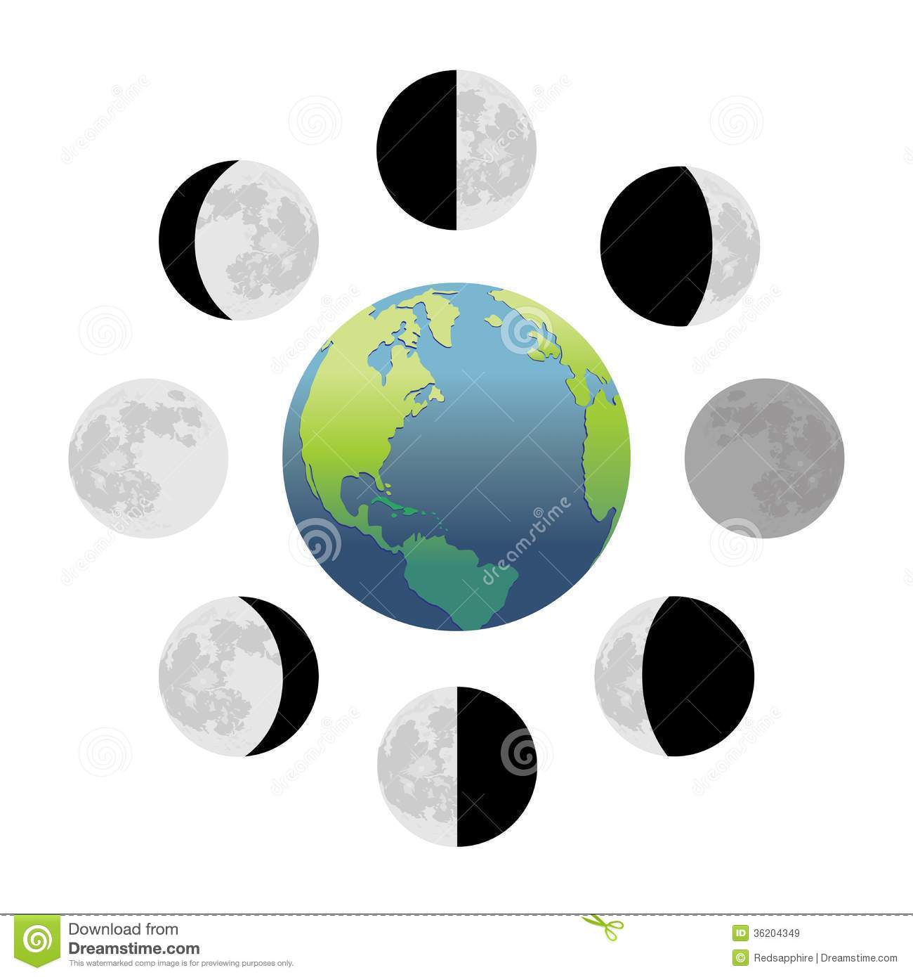 Moon Phases Royalty Free Stock Images   Image  36204349