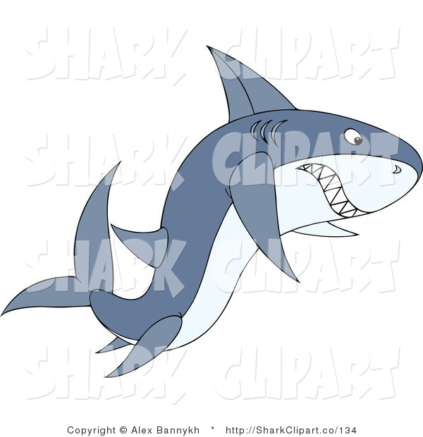 Of An Angry Gray Shark Shark Clip Art Alex Bannykh