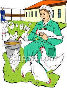 Royalty Free Hen Clipart Item 164978 Farm Animal Clip Art Picture