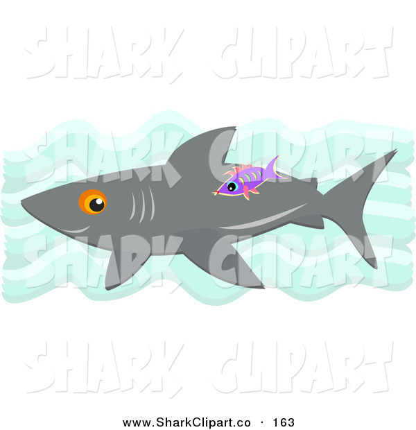 Shark Clip Art   Bpearth