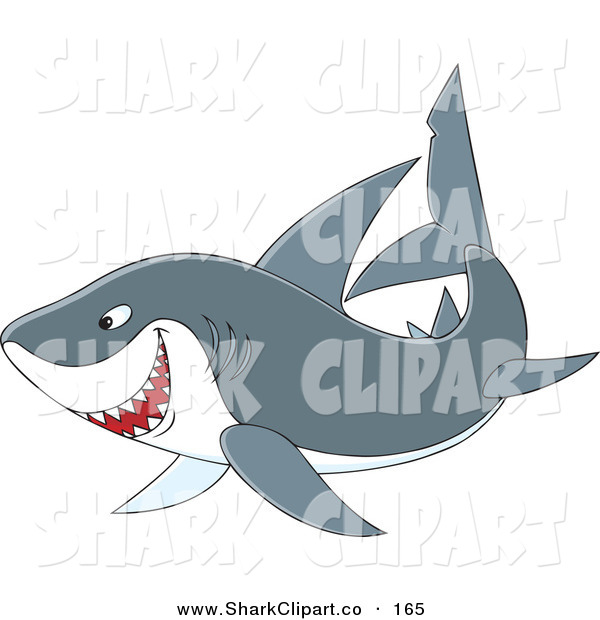 Swimming Gray Shark On White Shark Clip Art Alex Bannykh