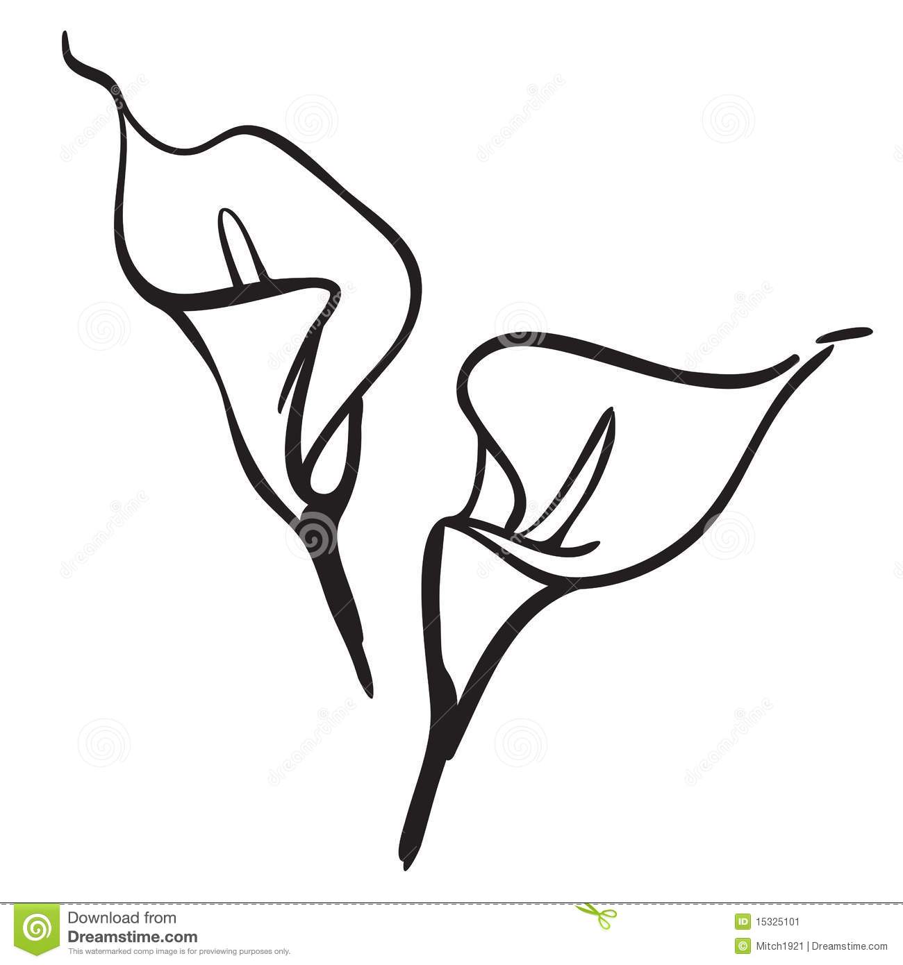 Calla Lily Flower Simple Line Drawing Vector Illustration Isolated On