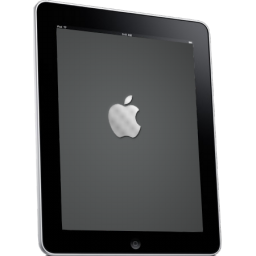 Ipad Side Apple Logo Icon