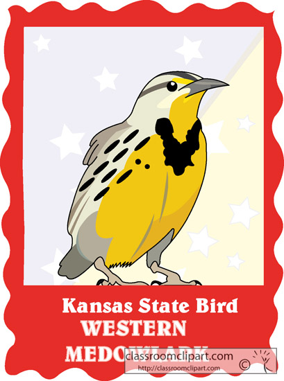 Kansas   Kansas State Bird Western Meadowlark   Classroom Clipart