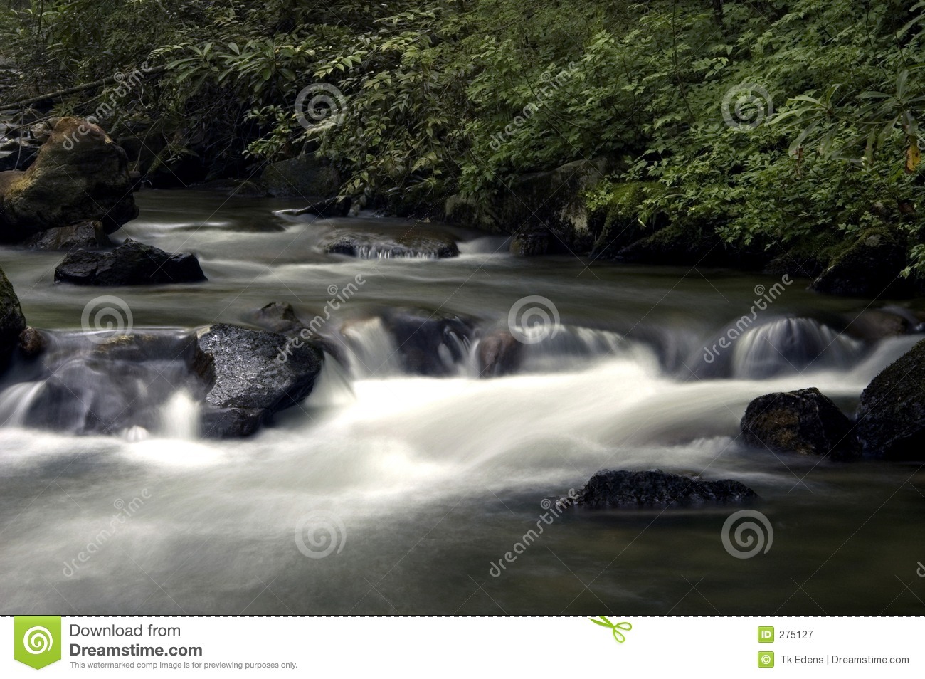 Lazy River Royalty Free Stock Photography   Image  275127