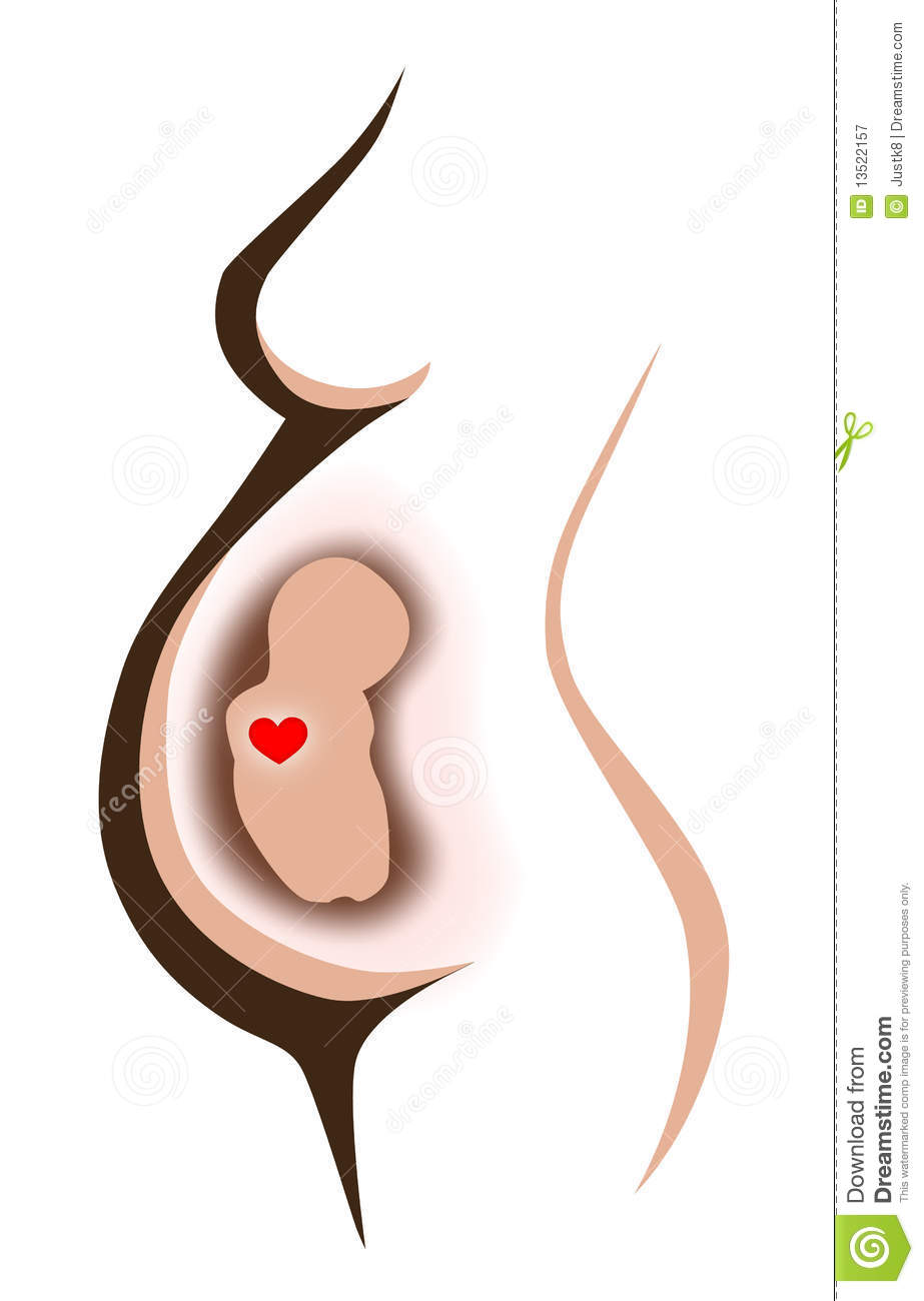 Pregnant Belly Illustration Royalty Free Stock Photography   Image